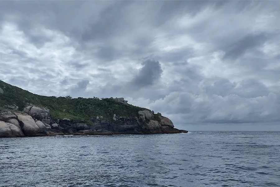 Vista da Ilha do Arvoredo em um dia nublado, com rochas e vegetação nativa ao longo da costa, cercada por águas tranquilas, conhecida por sua biodiversidade marinha.